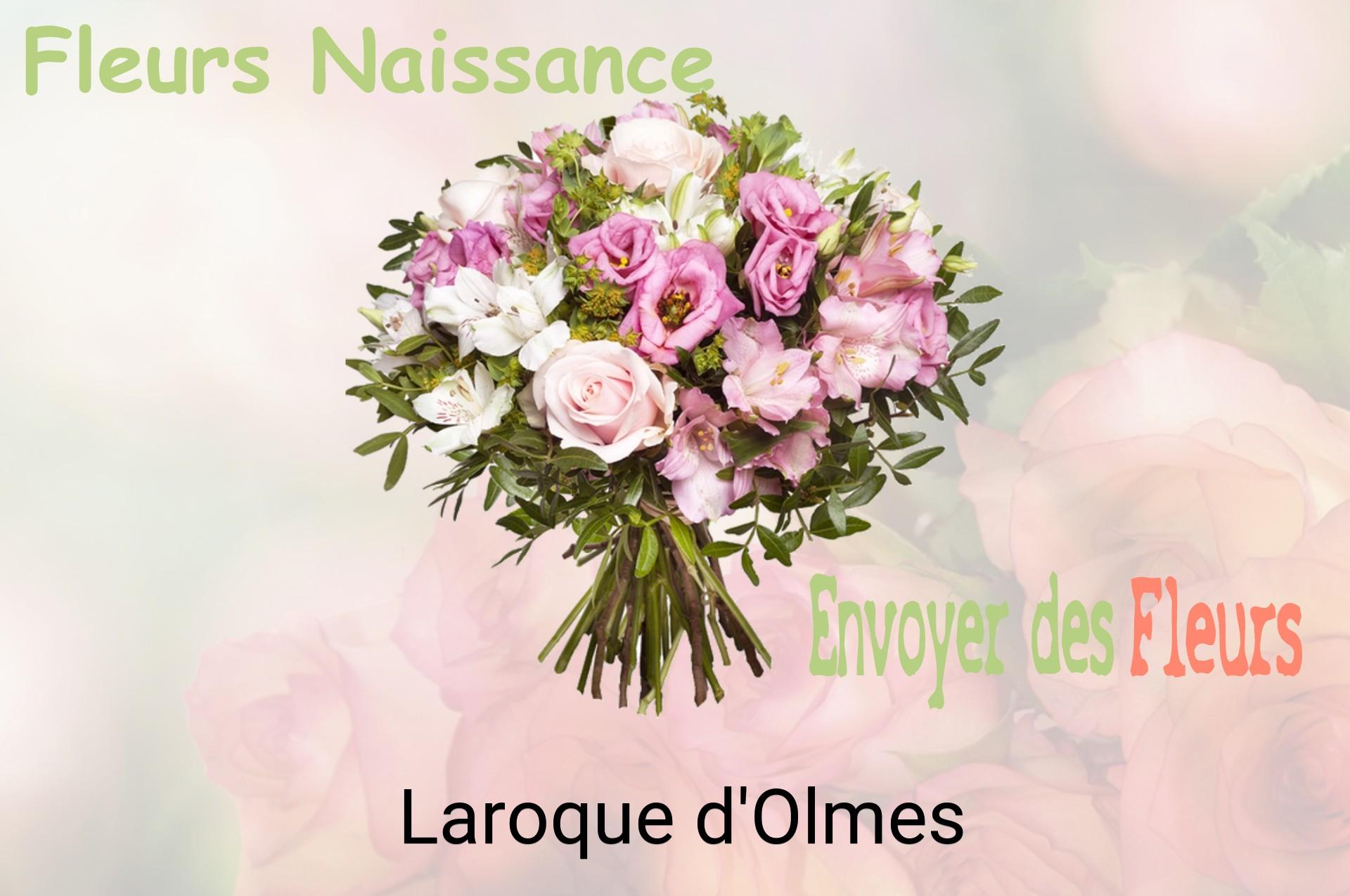 Bouquet de fleurs de naissance livré à Laroque-d'Olmes